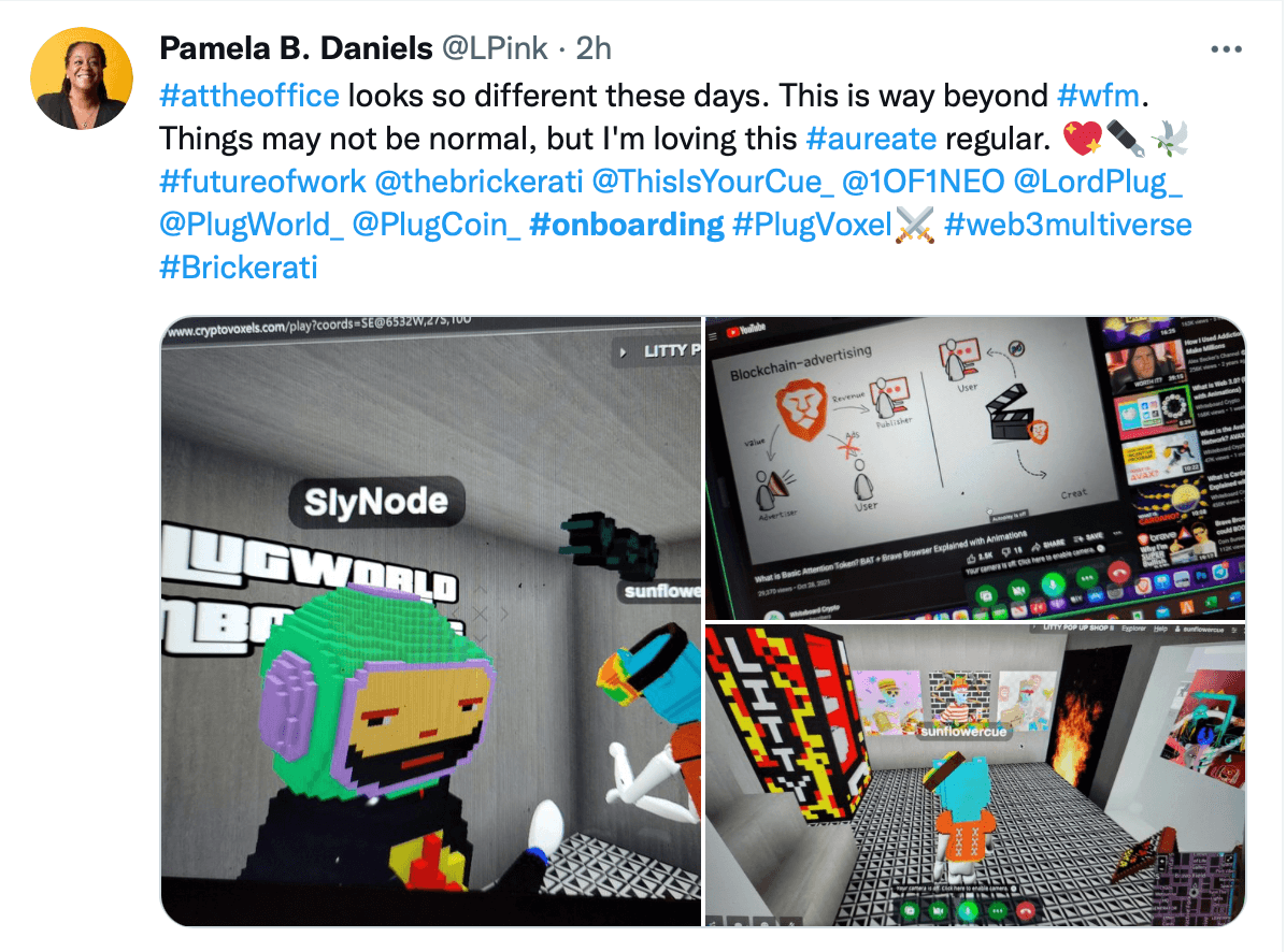 onboarding in plugworld