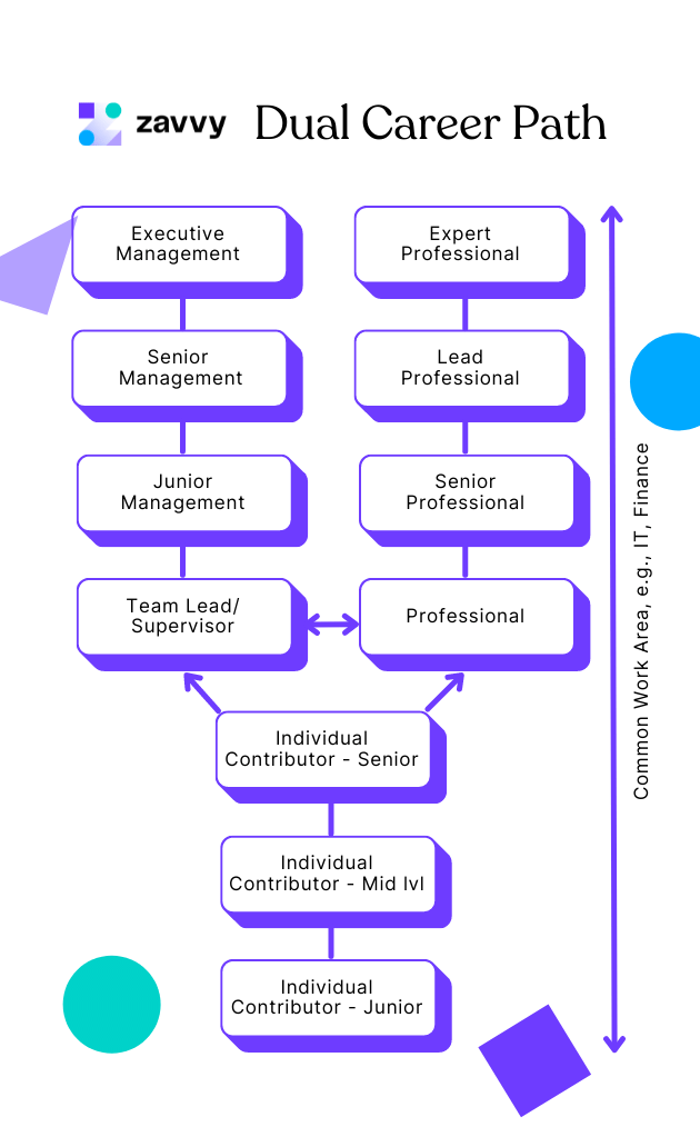 Dual career pathway framework